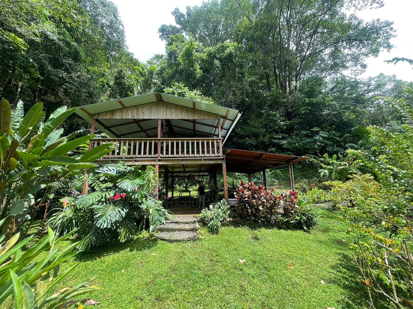 Our farm in the tropical jungle